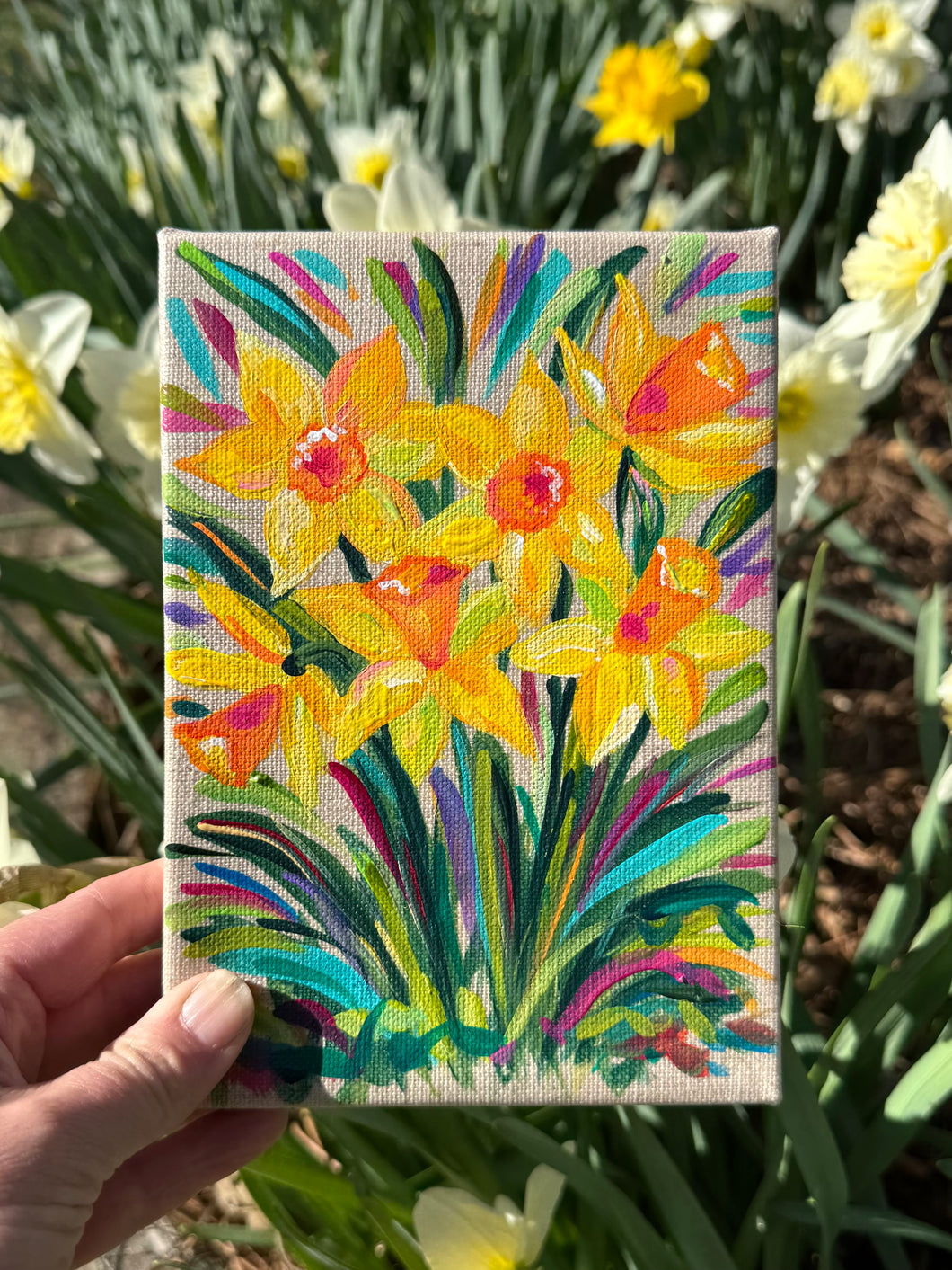 Sunny Daffodil