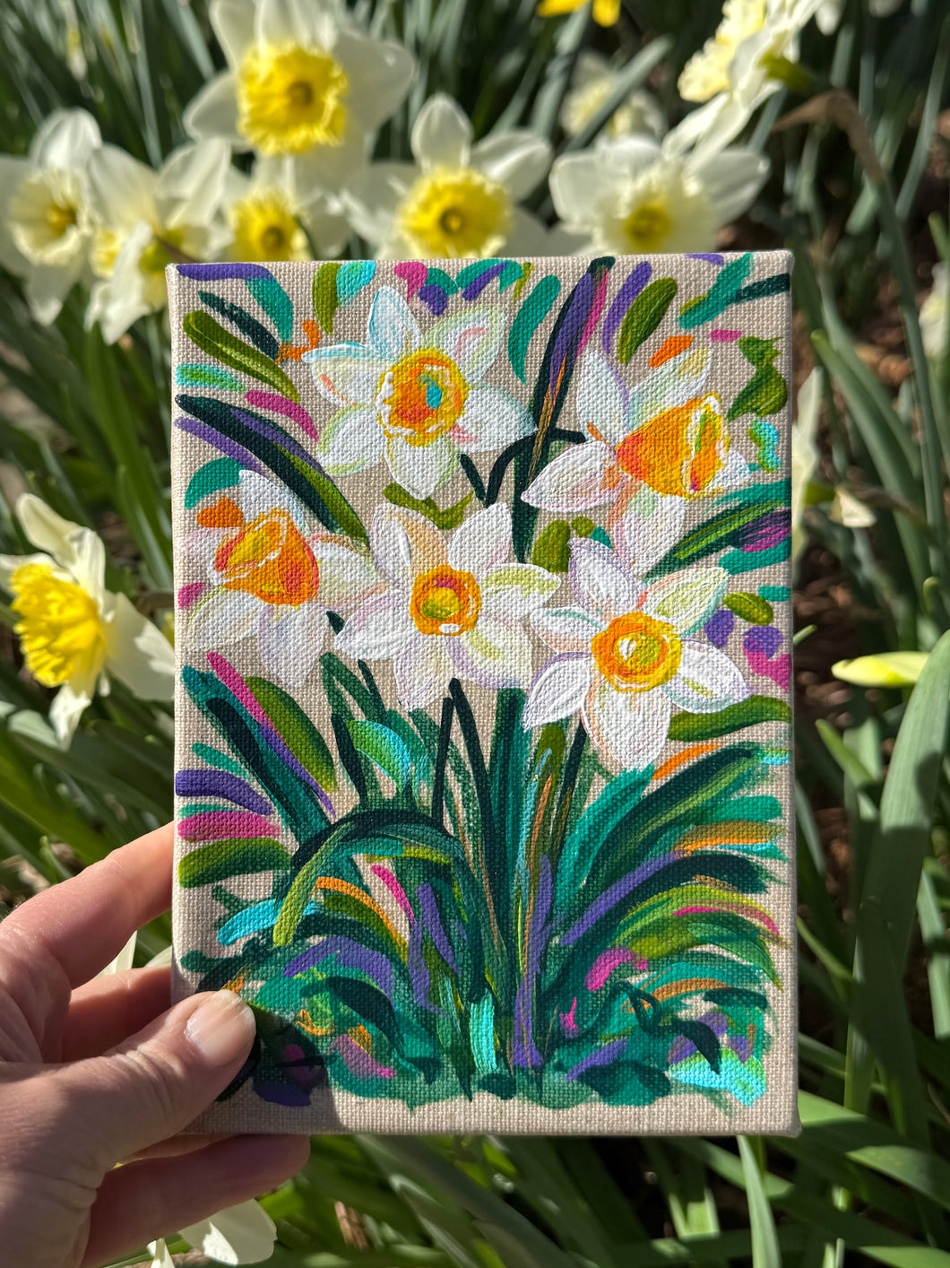 White Daffodil