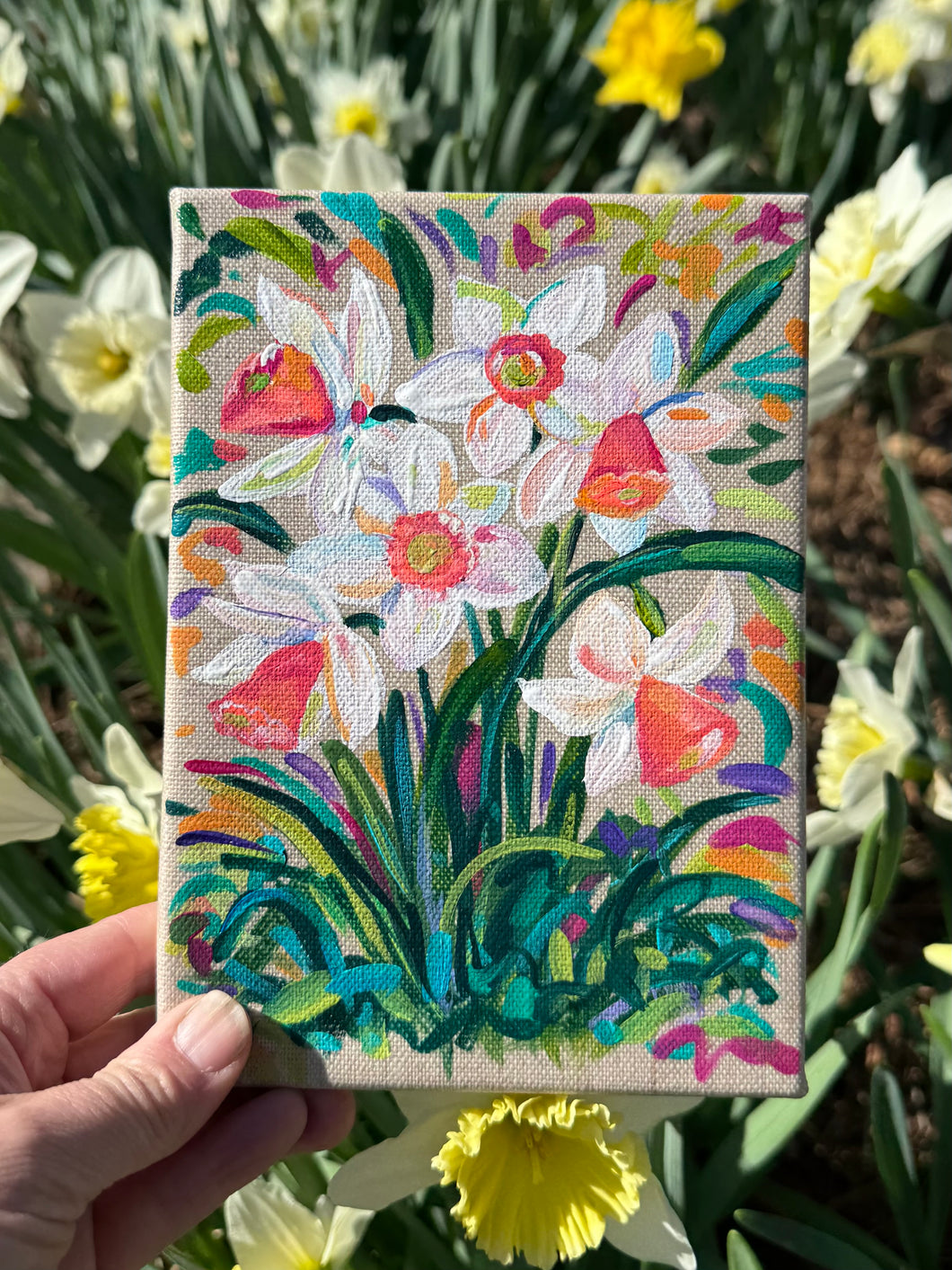 Pink Charm Daffodil