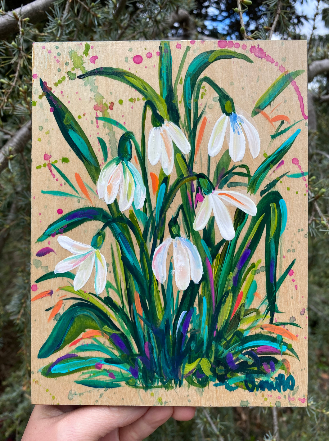 Snowdrops