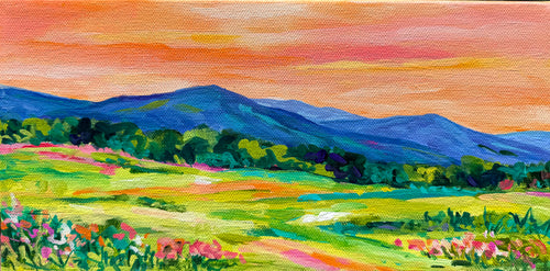 Summer Skies