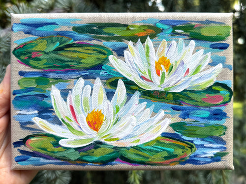 White Water Lilies