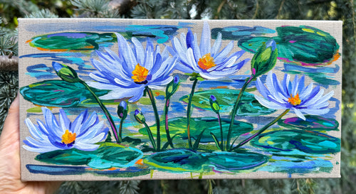 Periwinkle Water Lilies- July flowers