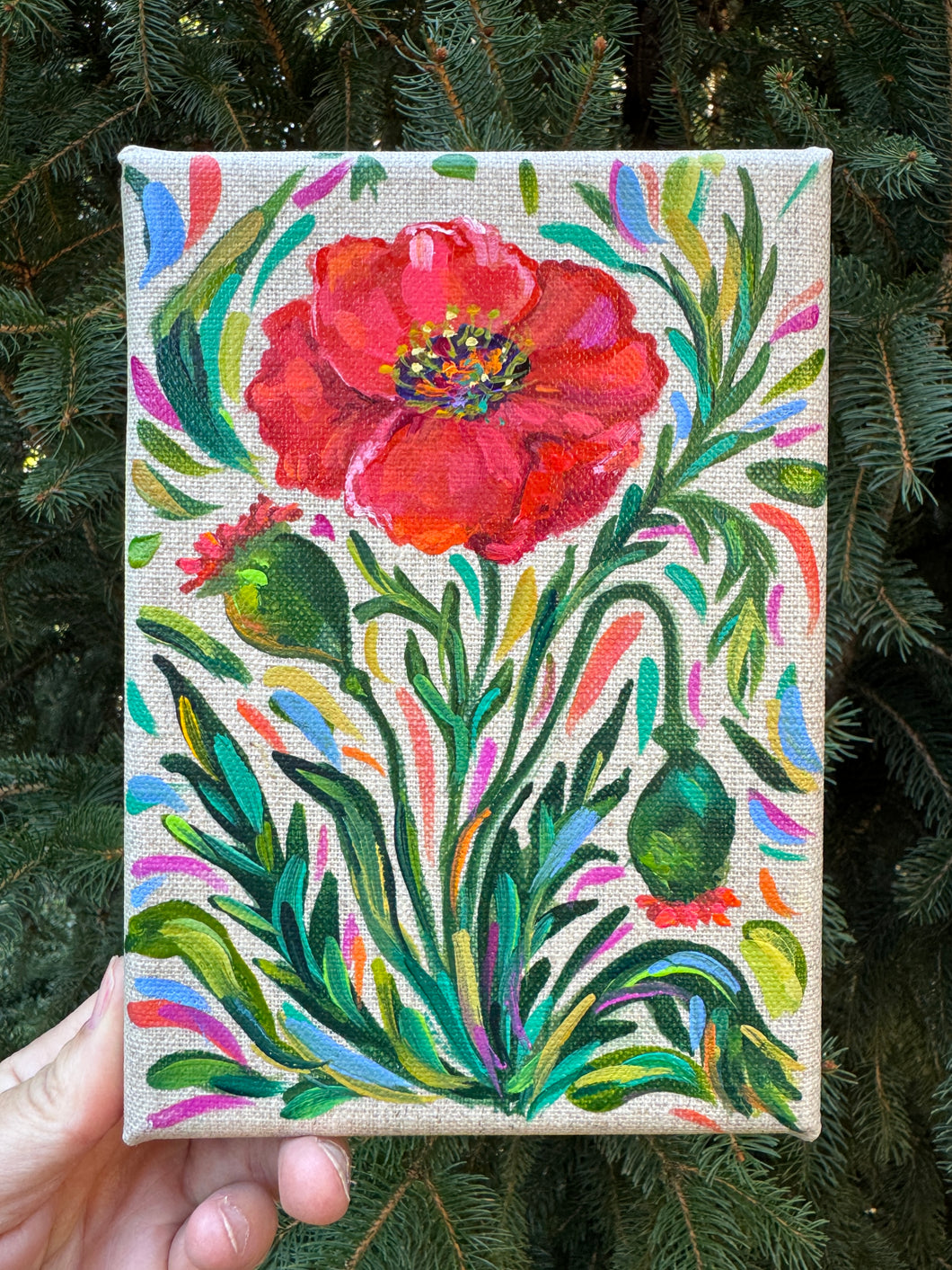 Poppy (August Birth Month Flowers)