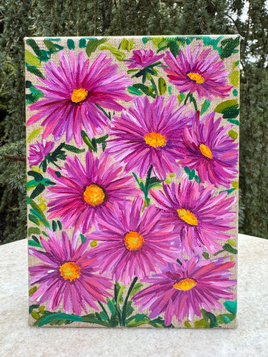 Pink Aster