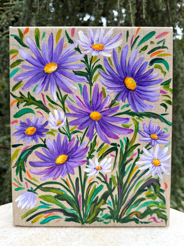 Lilac Aster