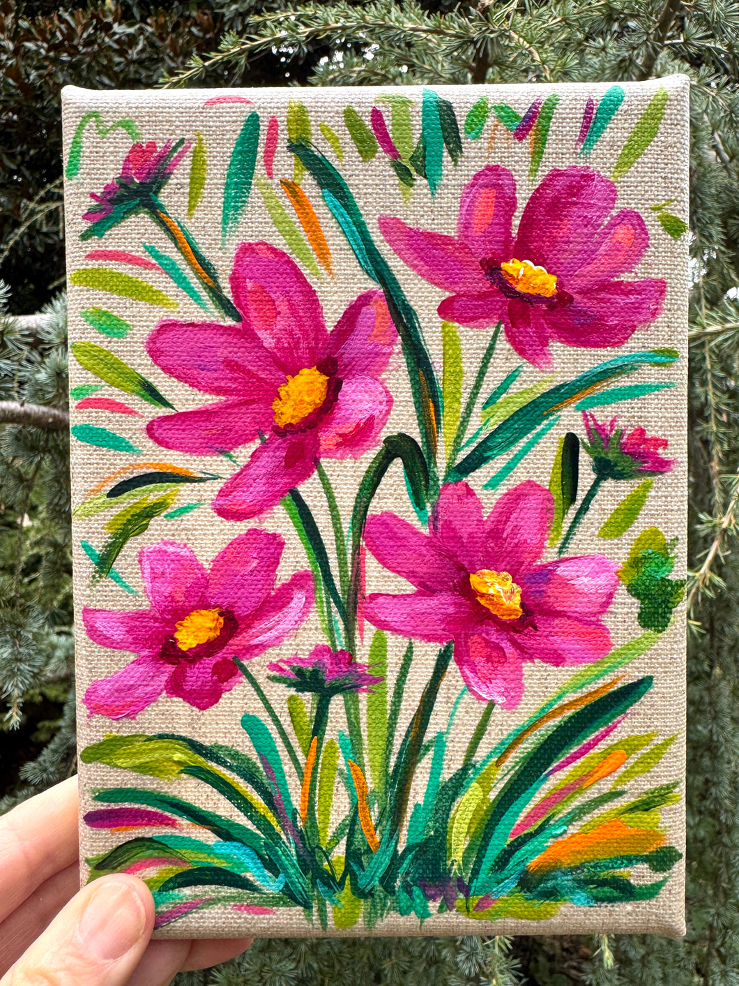 Deep Pink Cosmos - (October Birth Month Flowers)